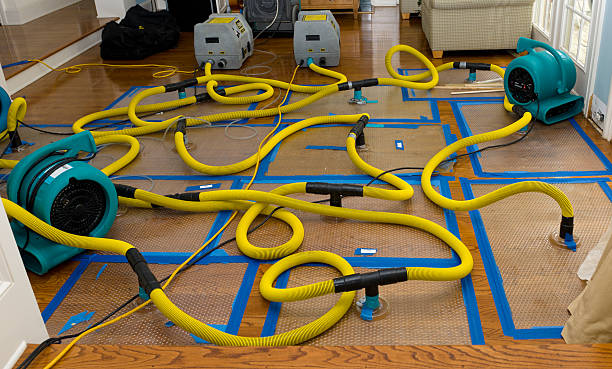 Professional Crawl Space Water Removal technician working in Champlin, MN
